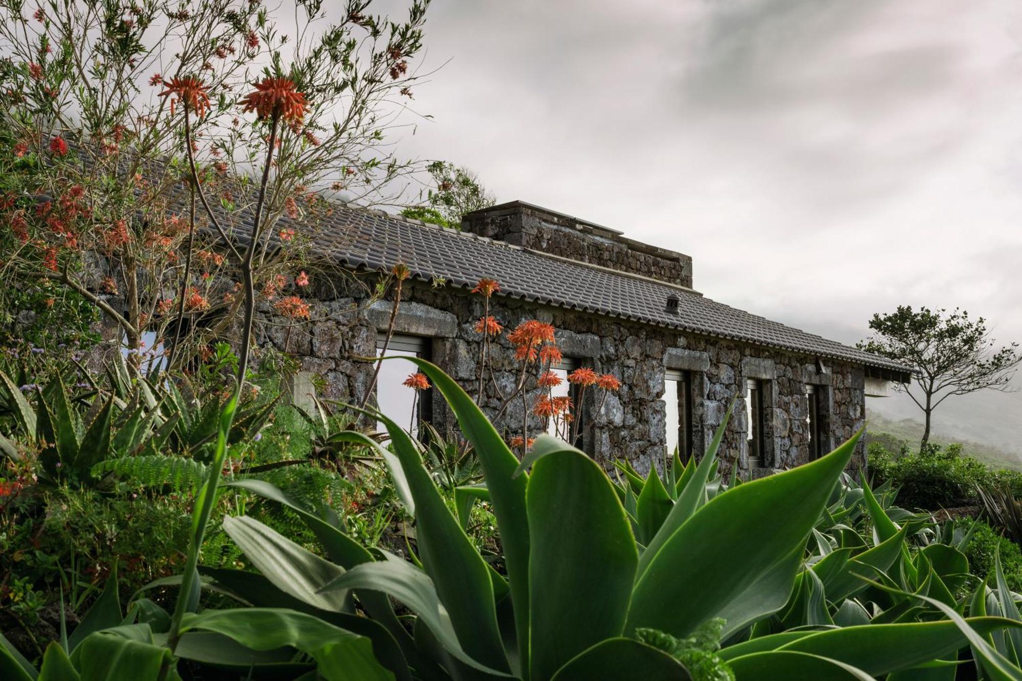 Lava Homes Santo Amaro  Esterno foto